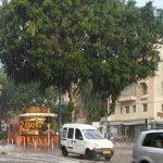 Il pleut sur Tel Aviv. פתאום גשם בנורדאו